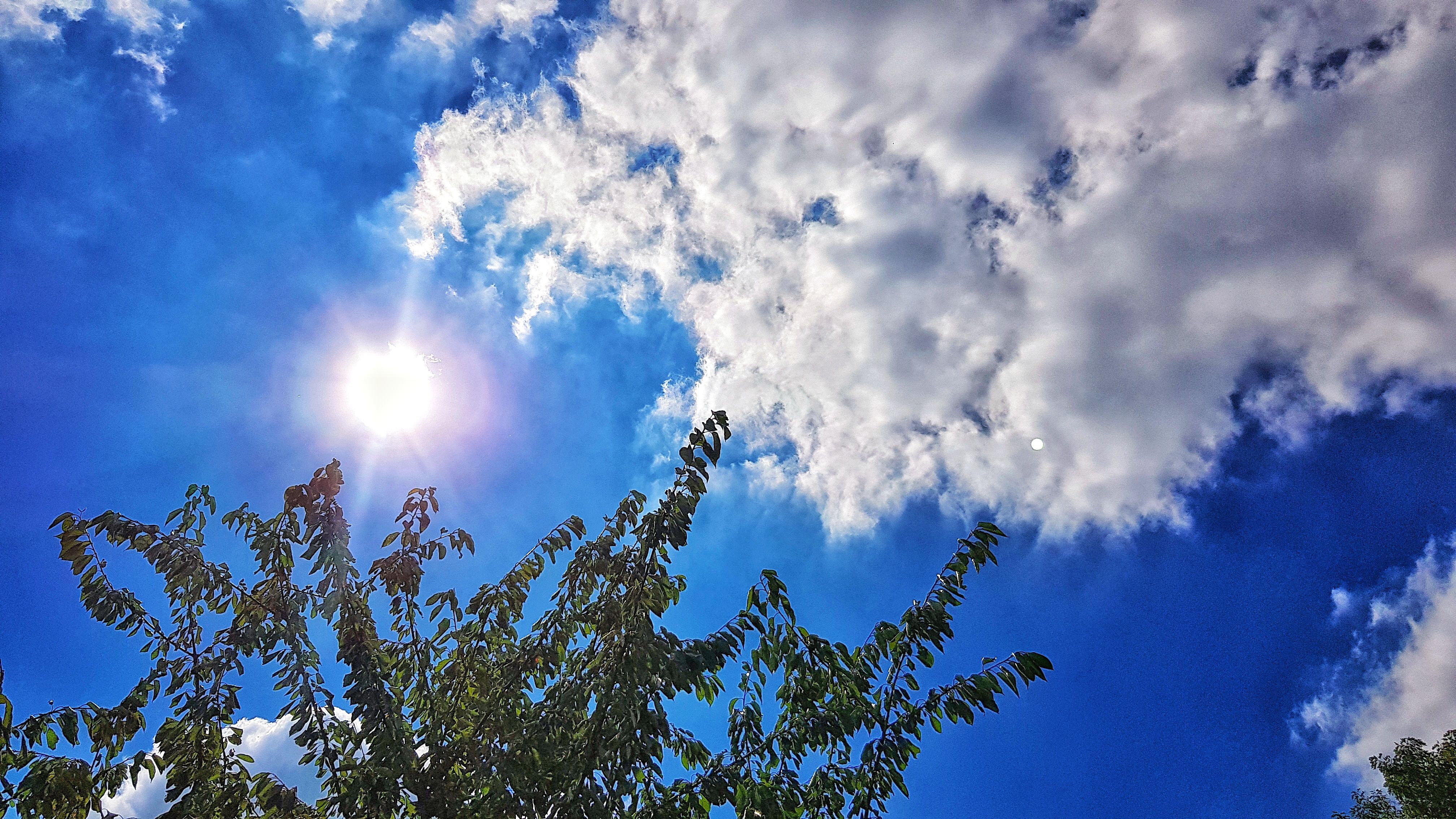 Foto Stok Gratis Tentang Blau Himmel Sonne