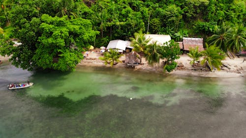 Aerial View of a Tropical Beach 