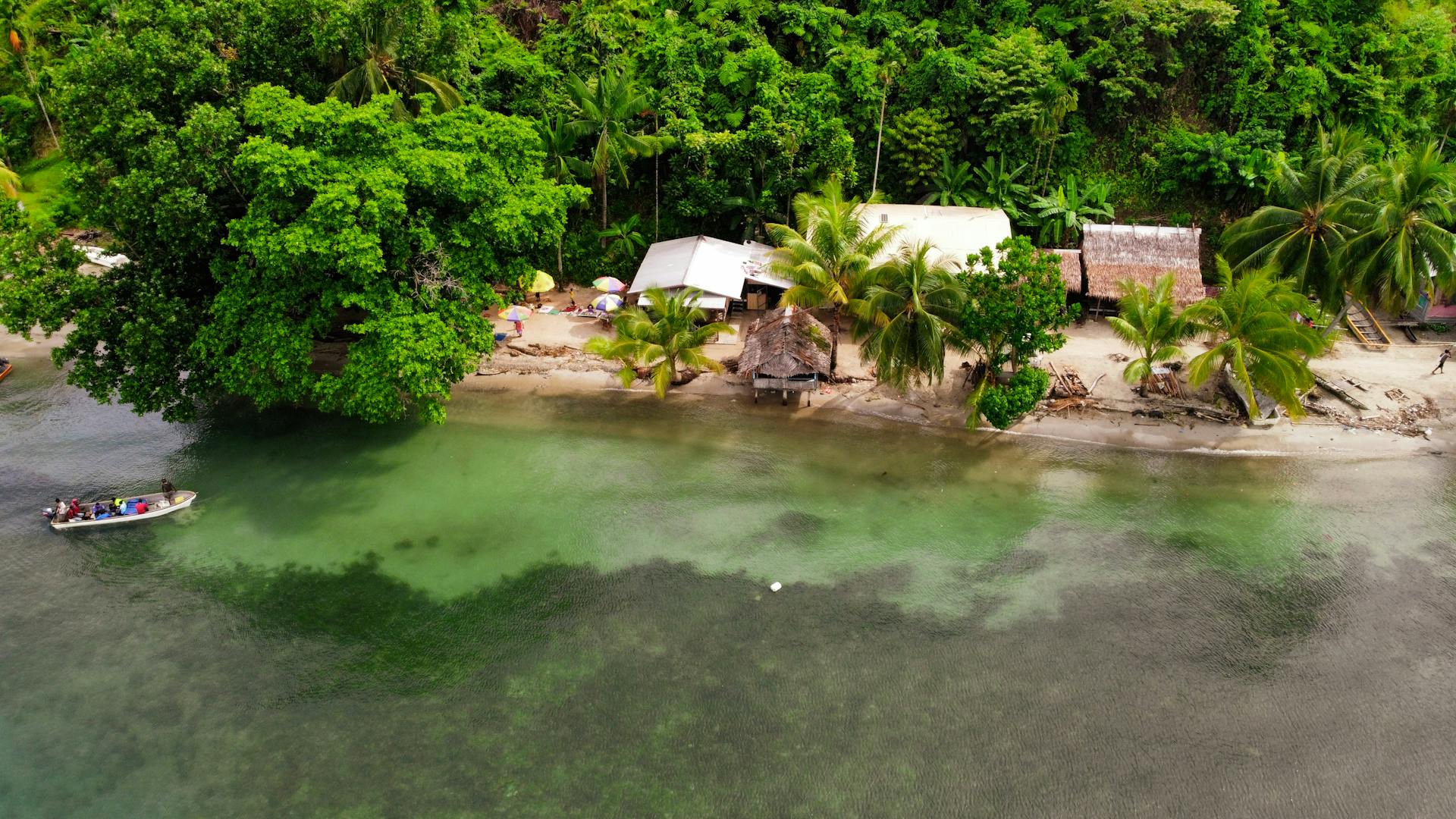 Explore the lush tropical beauty of Salamaua's coastline with sandy beaches and palm trees in Papua New Guinea.