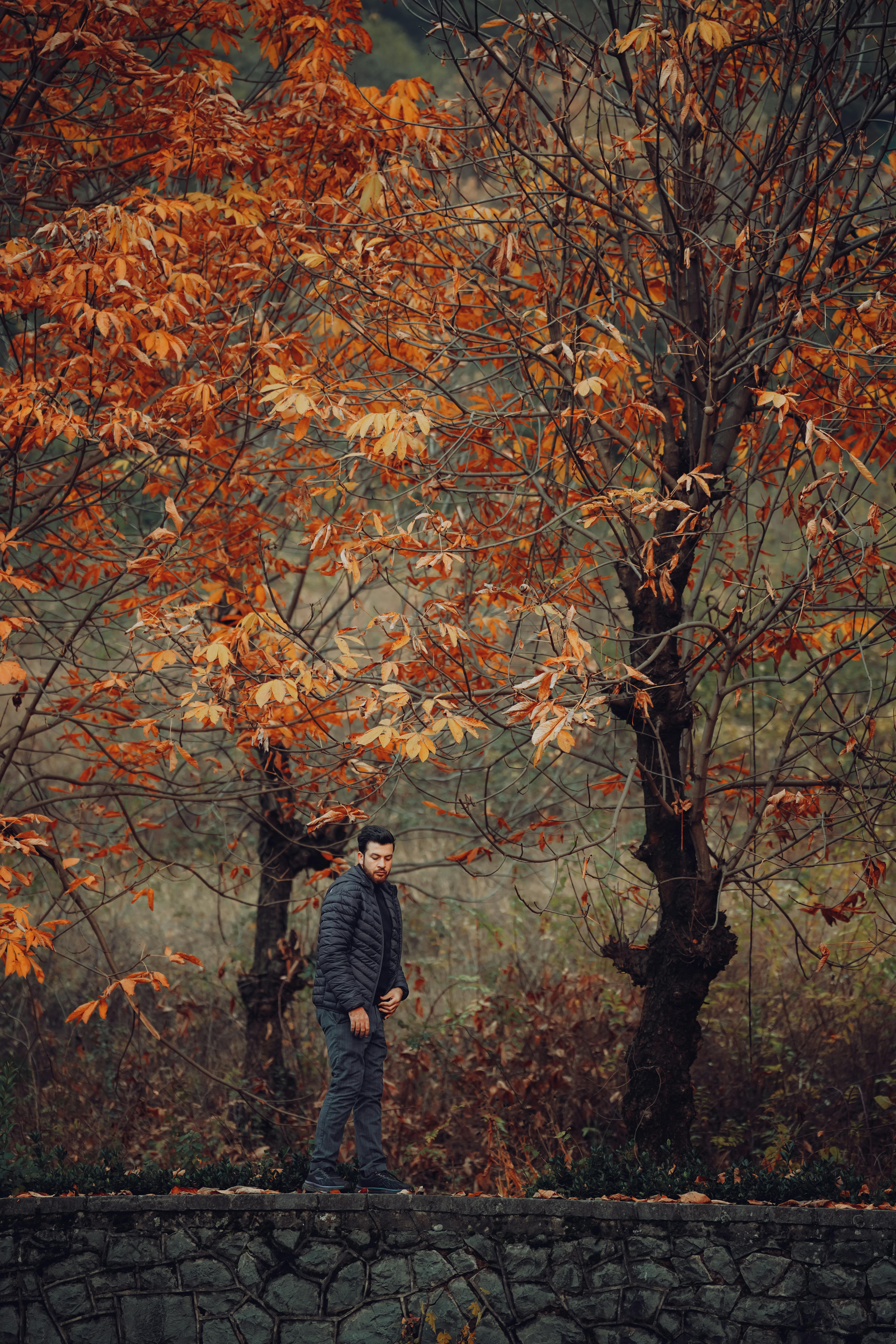 A man in a red leopard print jacket standing in a forest photo – Free Black  forest Image on Unsplash