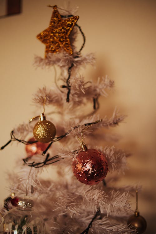 Christmas Ornaments in a Christmas Tree
