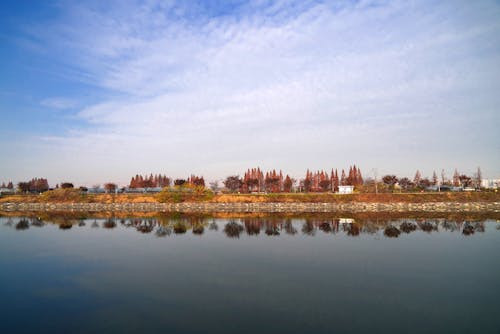 Foto d'estoc gratuïta de arbres, caure, llac