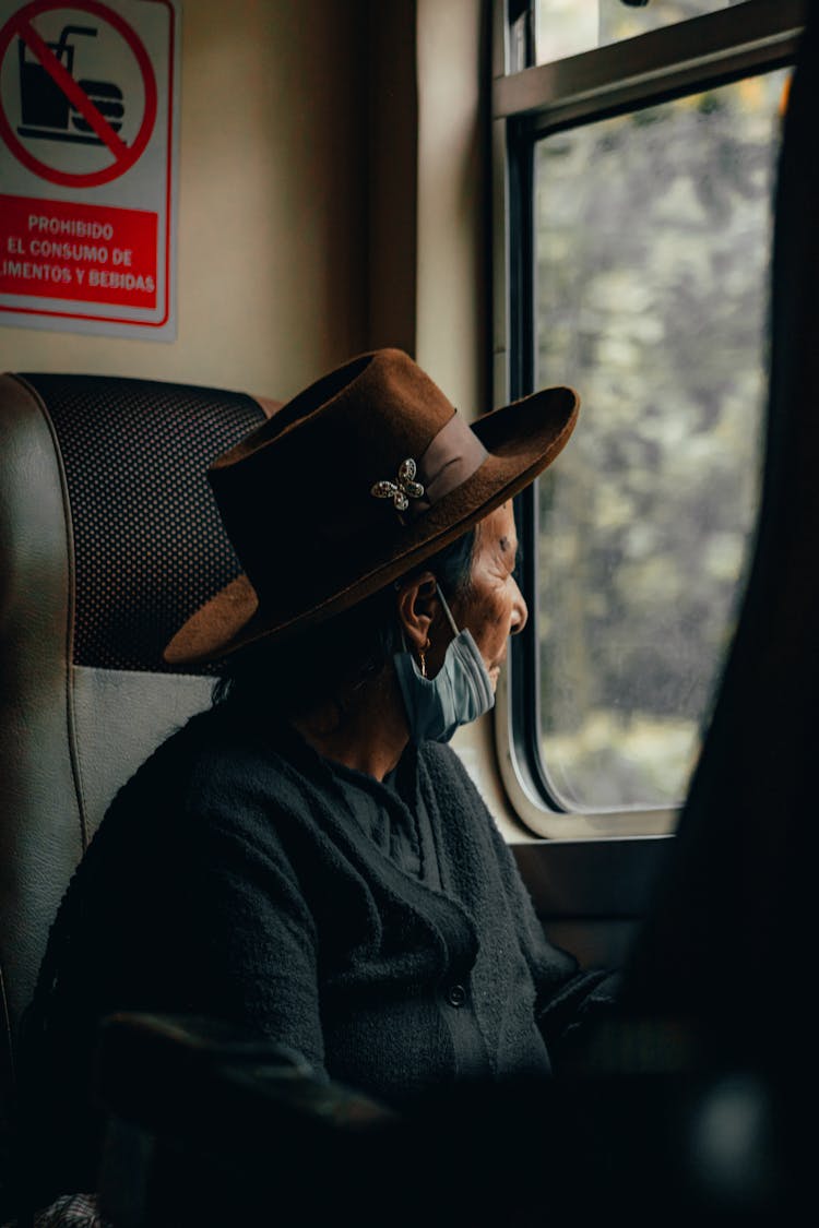 Woman Wearing Face Mask In Train