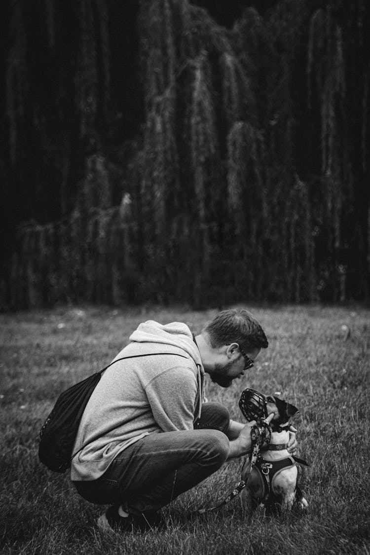 Man With His Dog In The Park