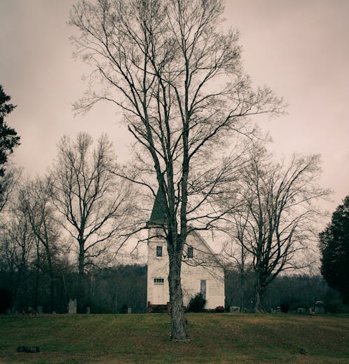 Immagine gratuita di alberi spogli, cappella, chiesa
