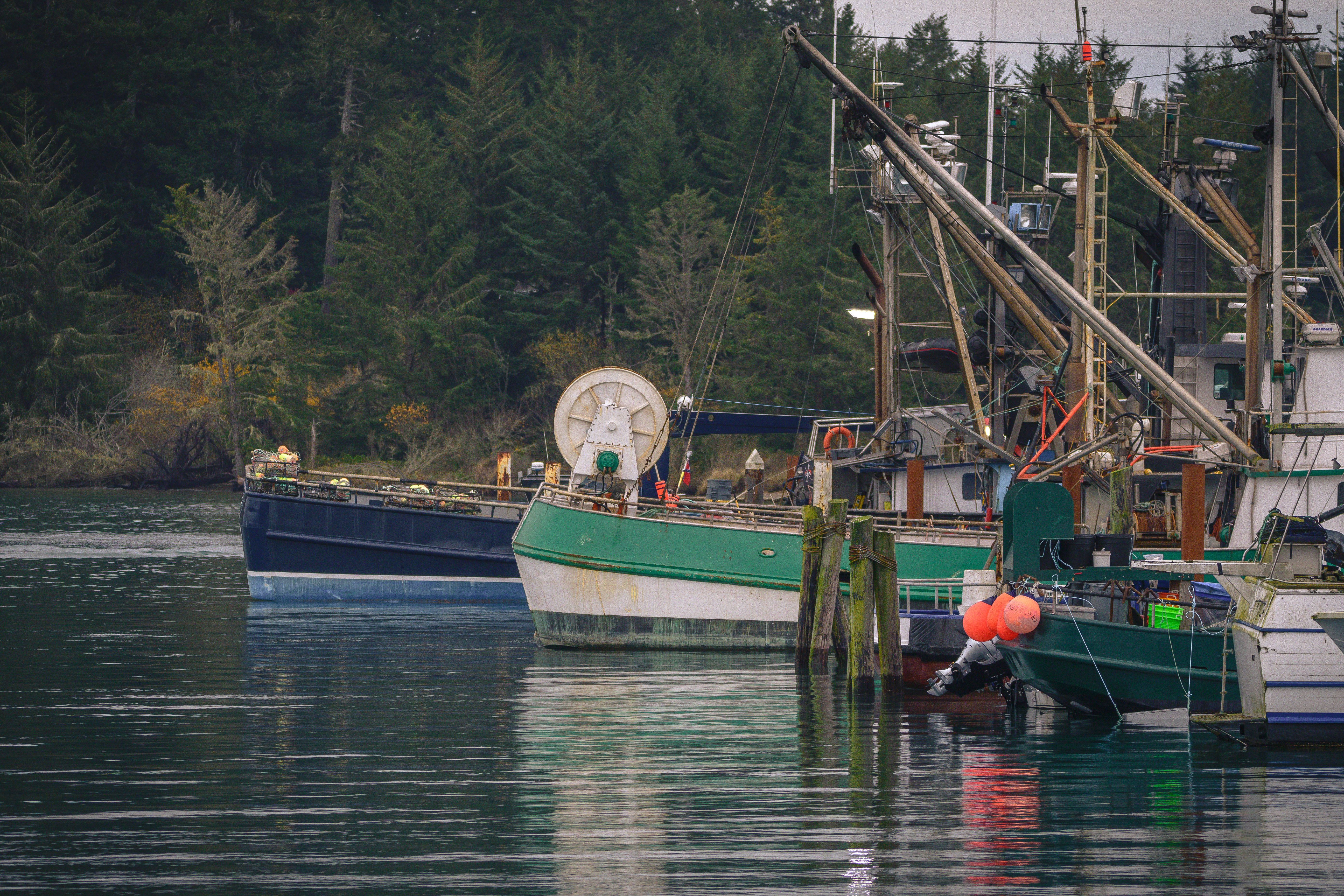 Fishing Boats in Coos Bay Oregon · Free Stock Photo