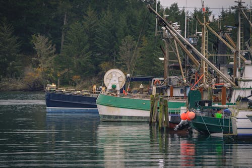 View of Boats Moored in a Harbor 