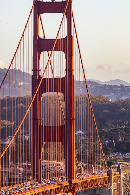Free A vertical shot of the iconic Golden Gate Bridge during sunset with hills in the background. Stock Photo