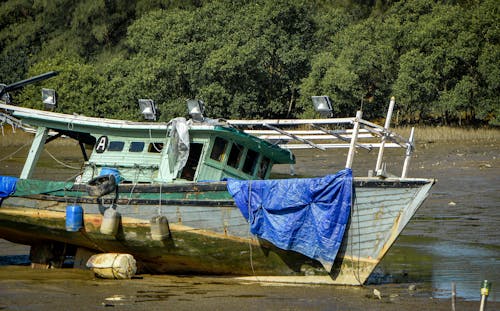 Fishing Boat on Shore