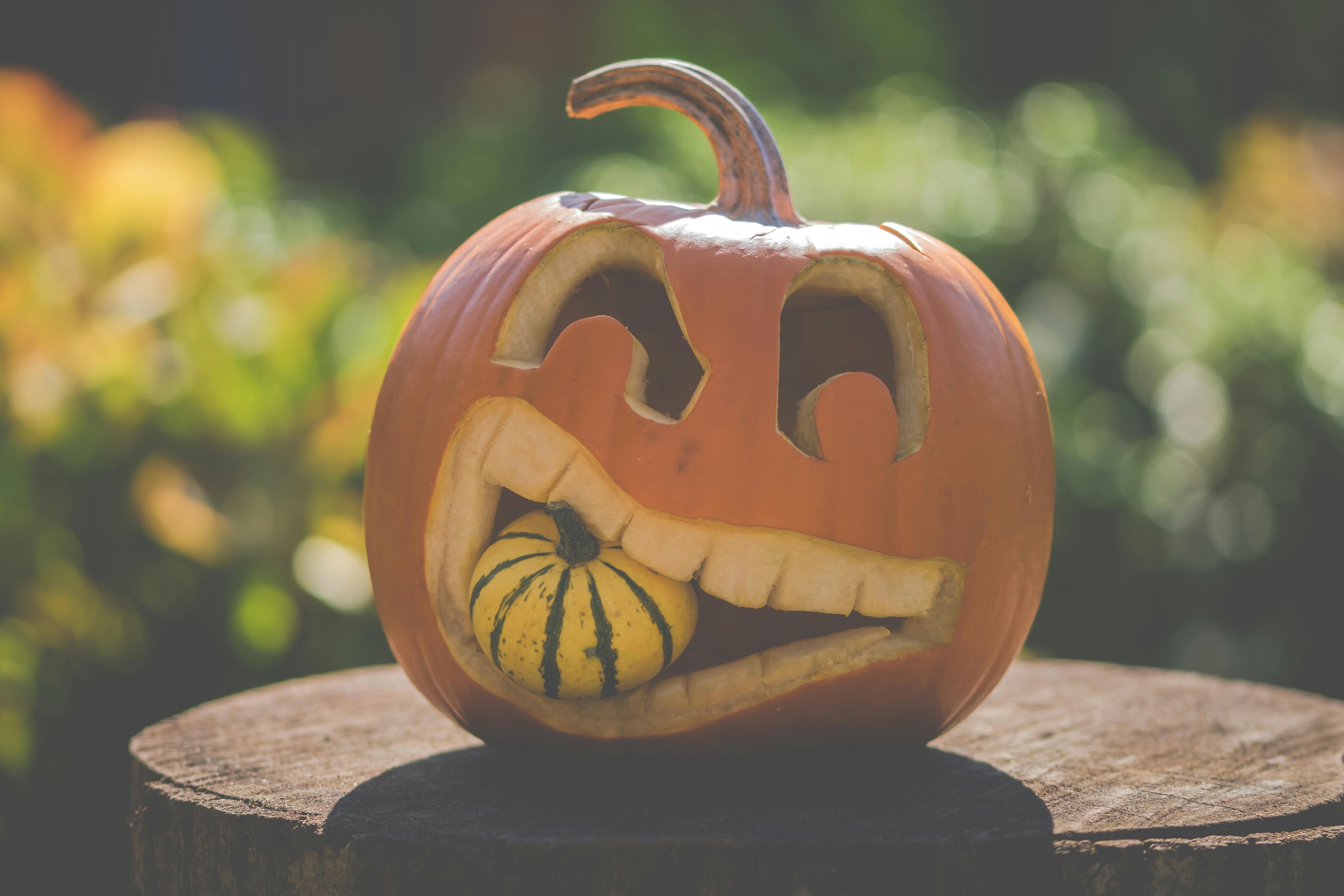 Jack O Lantern Free Stock Photo