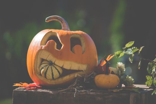 Festive Jack O' Lantern with gourds on a rustic table, capturing autumn vibes.