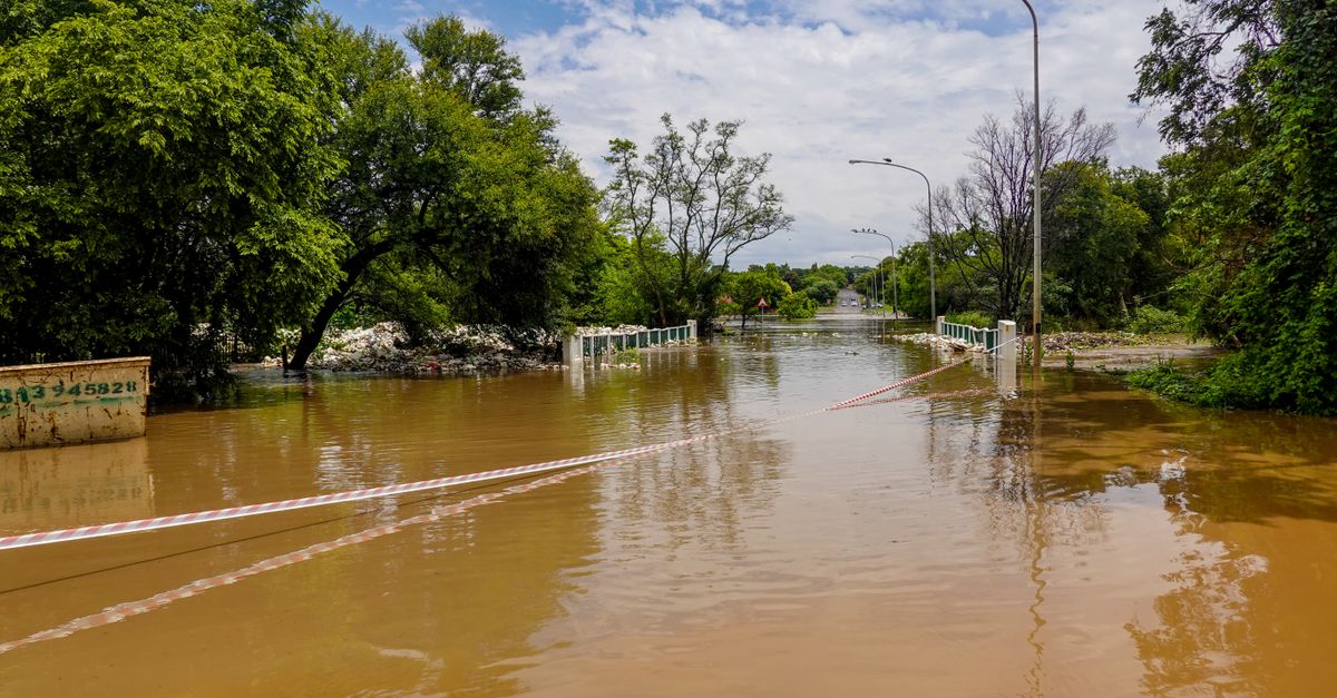 Photo by Magda Ehlers A flooded road with a submerged bridge, surrounded by trees, under a cloudy sky.