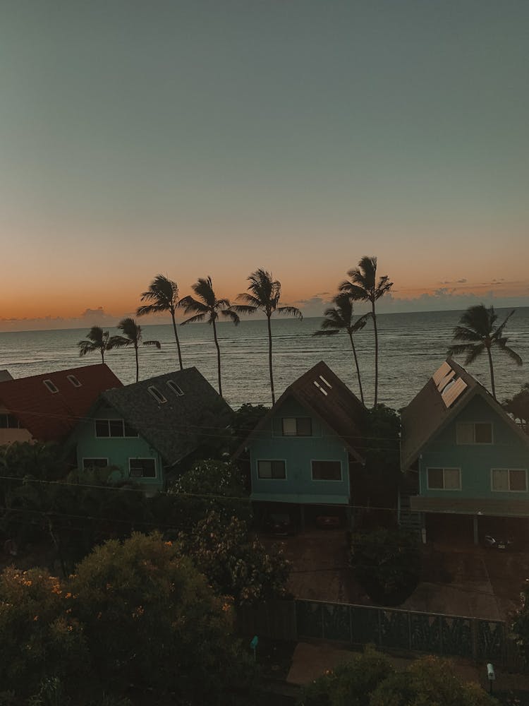 Row Of Houses And Palm Trees By The Sea