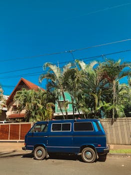 A blue van is parked on a sunny street with palm trees and power lines against a clear blue sky.