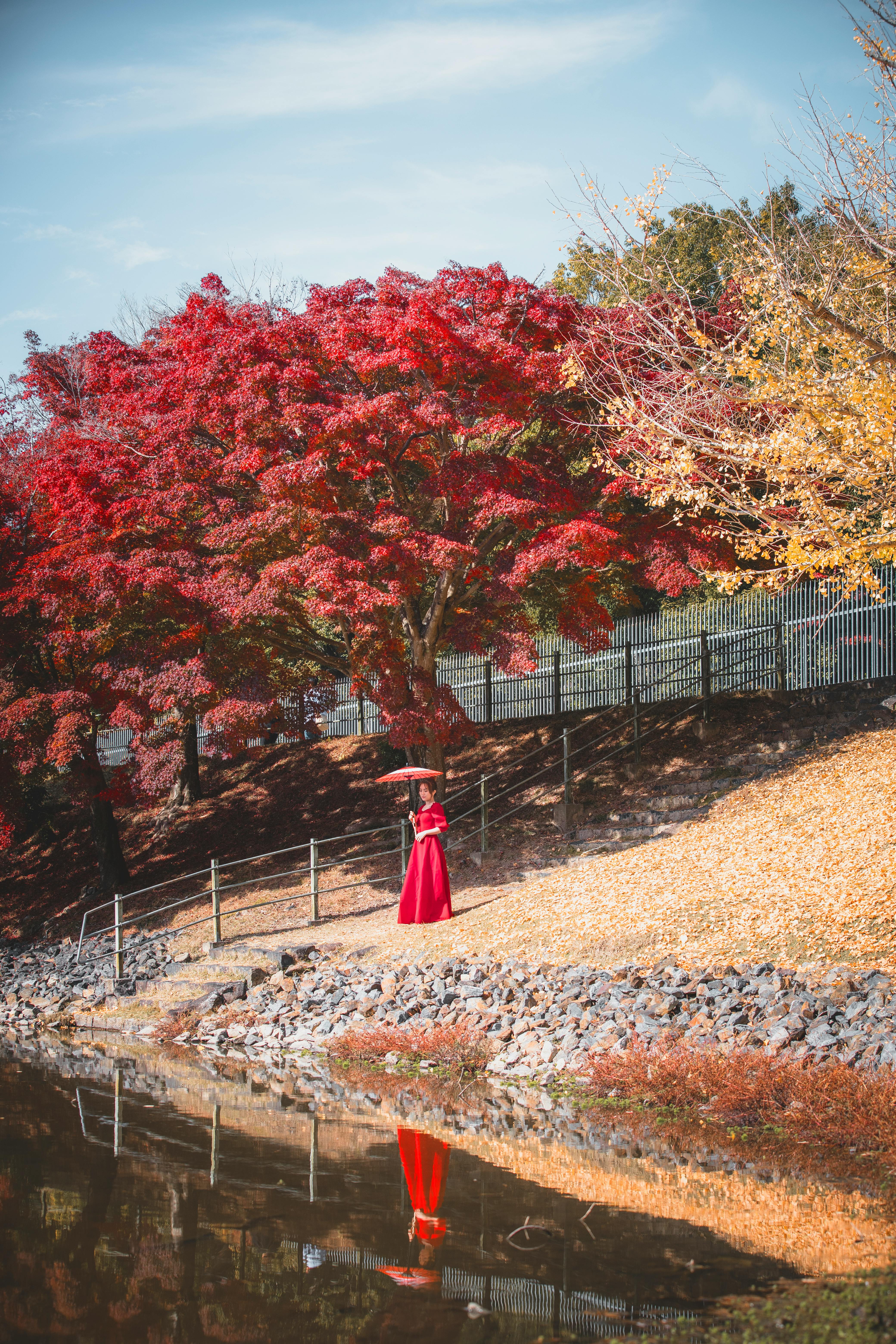 Woman in Red Dress in Autumn Park · Free Stock Photo