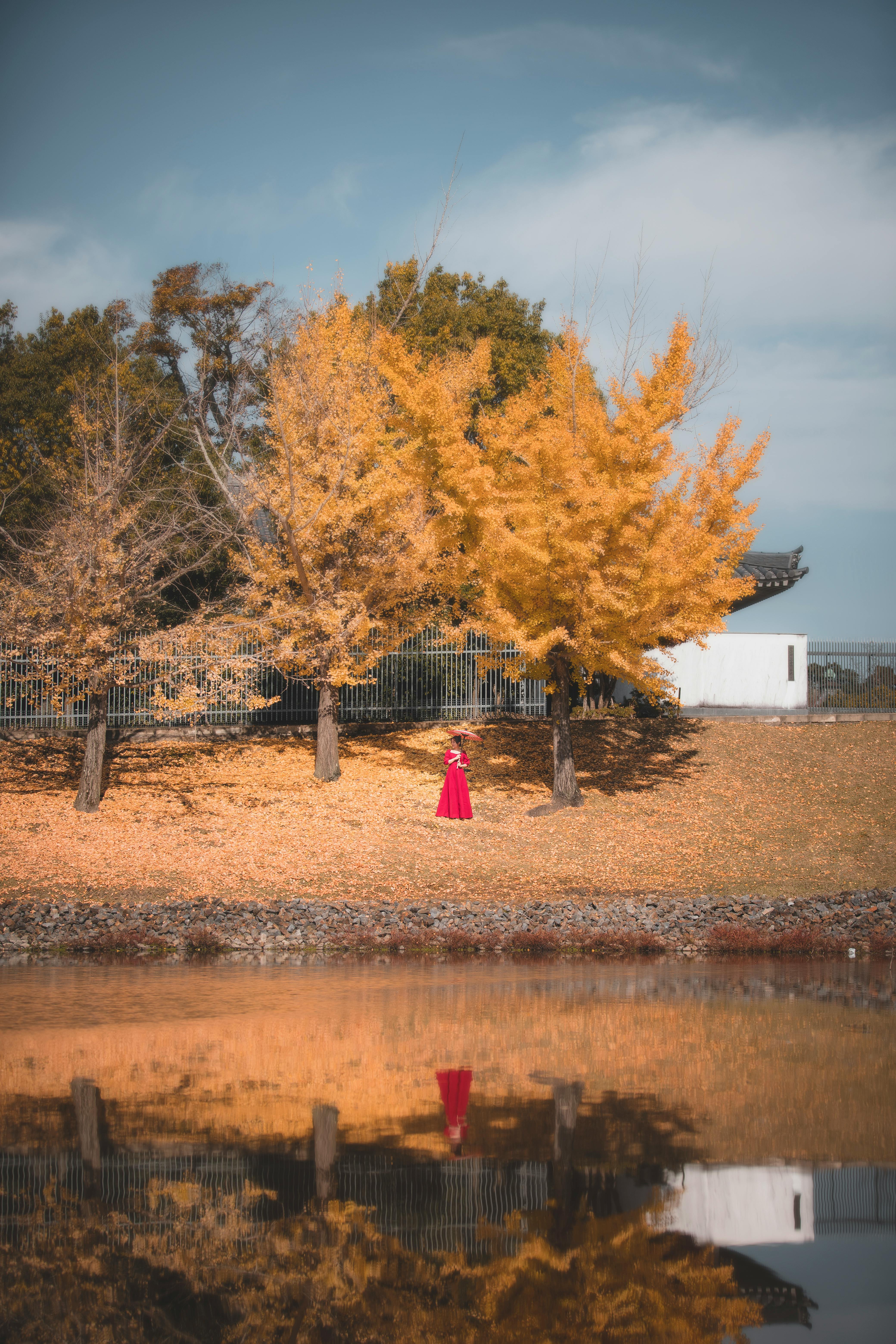 Woman in Red Dress and Man on Horse Reflecting in River · Free Stock Photo