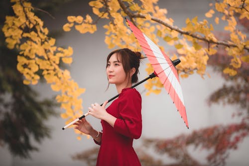 Foto profissional grátis de atraente, guarda-chuva, holding