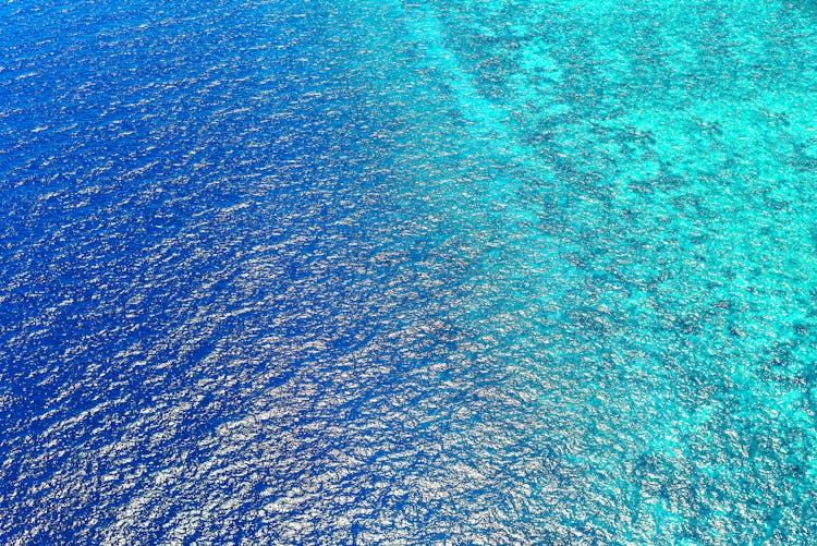 Bird's Eye View Of Sea Water