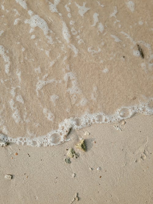 Water Foam on the Sandy Shore