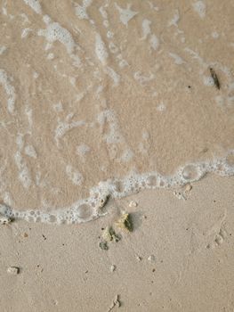 Close-up of ocean waves gently washing onto a sandy beach.