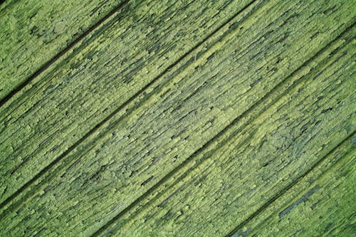 녹색 나무 판자