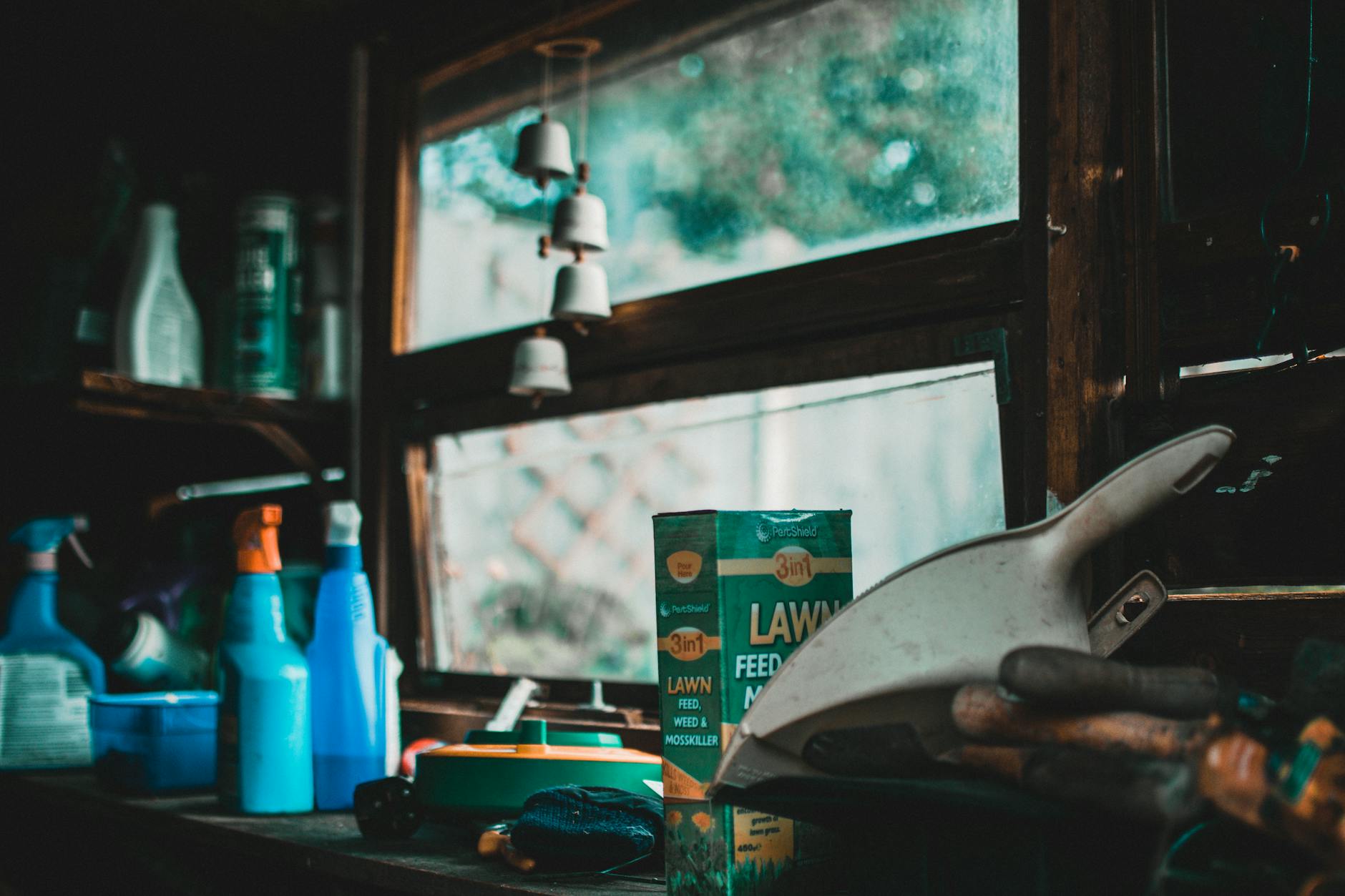 https://www.pexels.com/photo/green-lawn-box-beside-bottles-and-window-1456326/