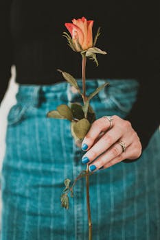 Close-up of a hand holding a single rose with blue nails, showcasing fashion and flora.