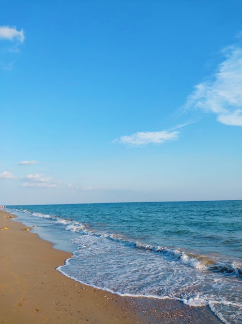 夏天, 夏天的壁紙, 夏季氛圍 的 免費圖庫相片