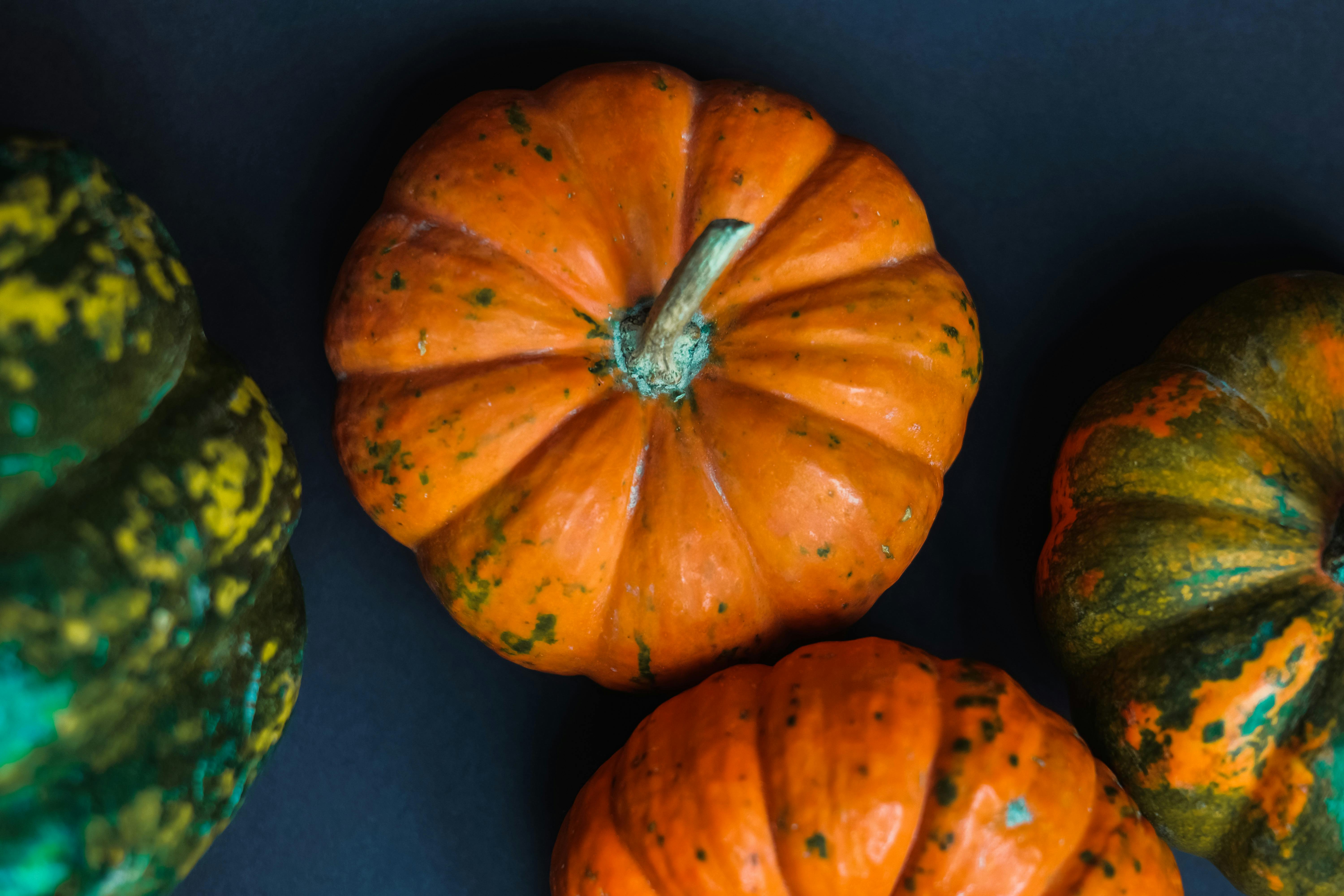 Photo by TANSU TOPUZOĞLU