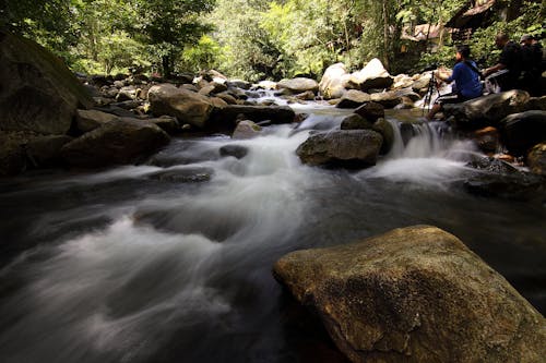 Fluss Mit Felsen, Umgeben Von Bäumen