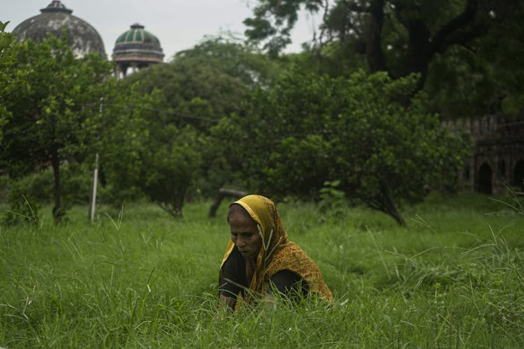 Woman Working In Grass