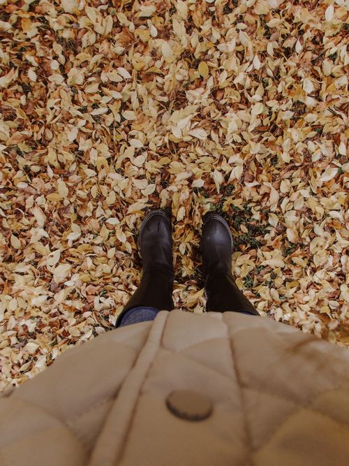 Free View of boots standing on vibrant autumn leaves in Kastamonu, Türkiye. Stock Photo