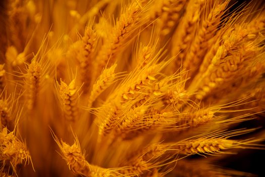 Shredded Wheat Shredded Wheat Bite Sized Cereal