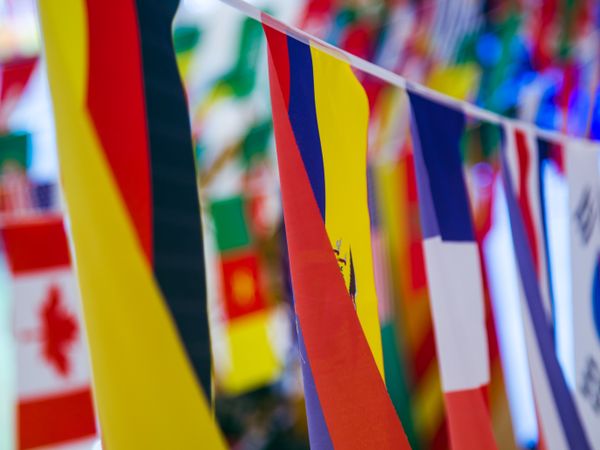 Table Flags, image 2 of 4