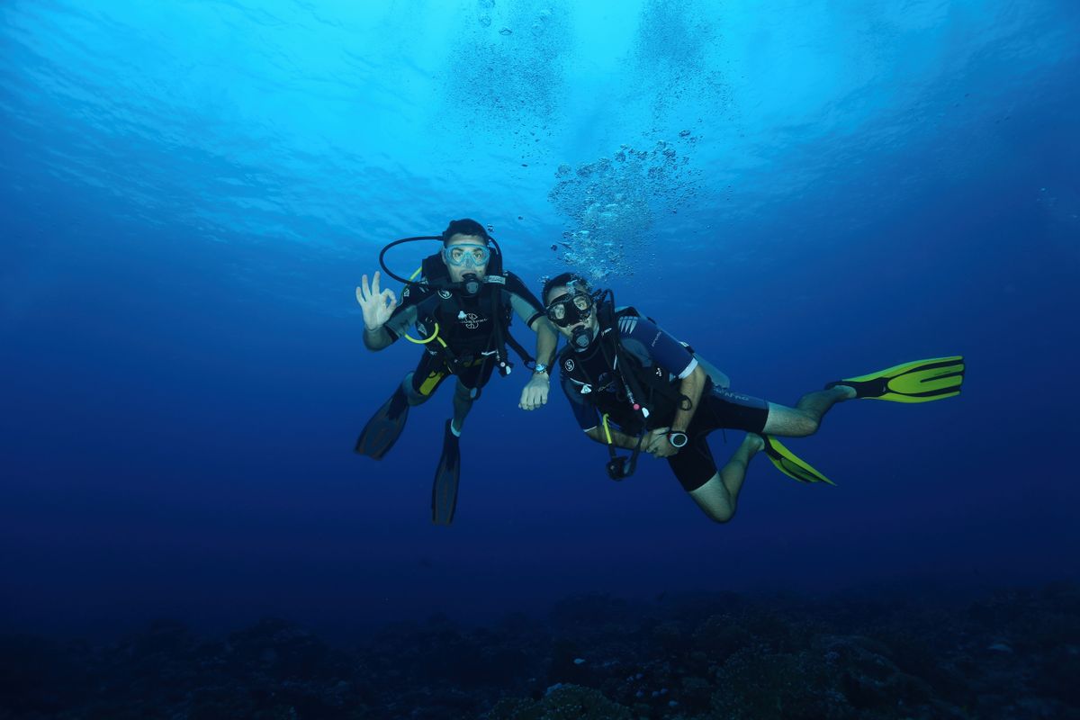 Two scuba divers diving together underwater