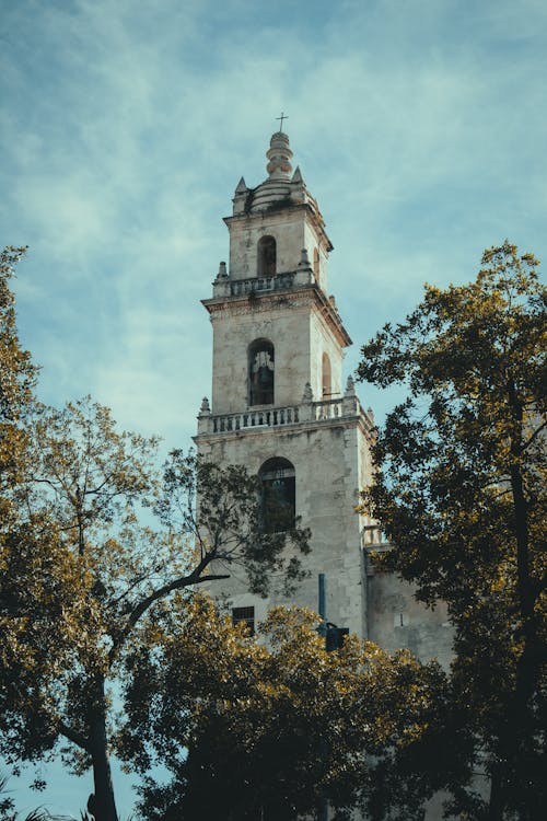 Church Tower behind Trees