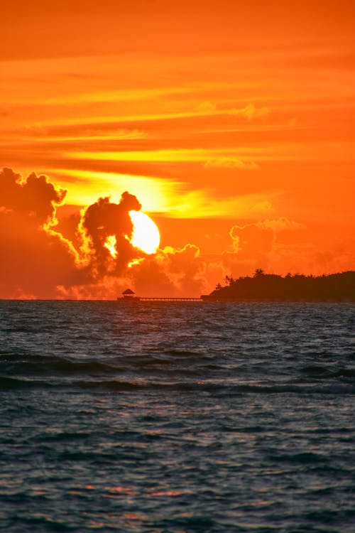 altın rengi gün batımı, altın saat, günbatımı sahili içeren Ücretsiz stok fotoğraf