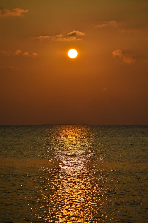 Kostenloses Stock Foto zu aussicht, hinterleuchtet, meer