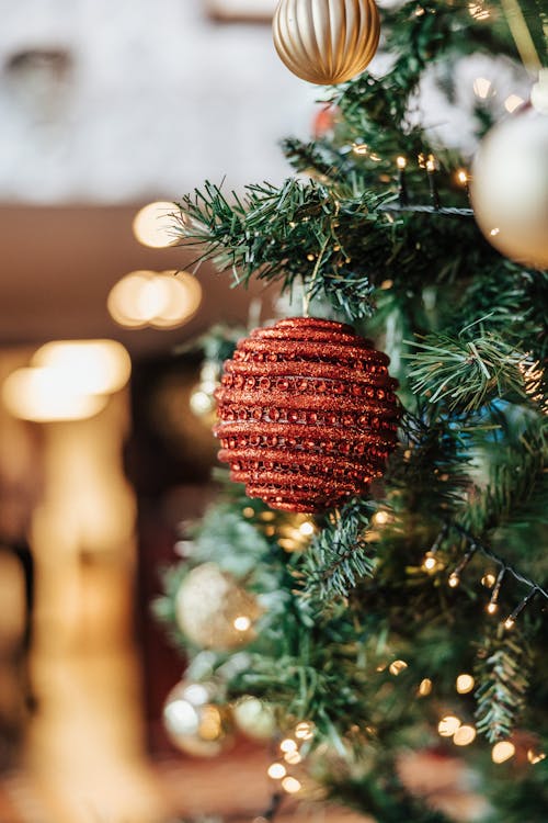 Christmas Ball Hanging on a Tree