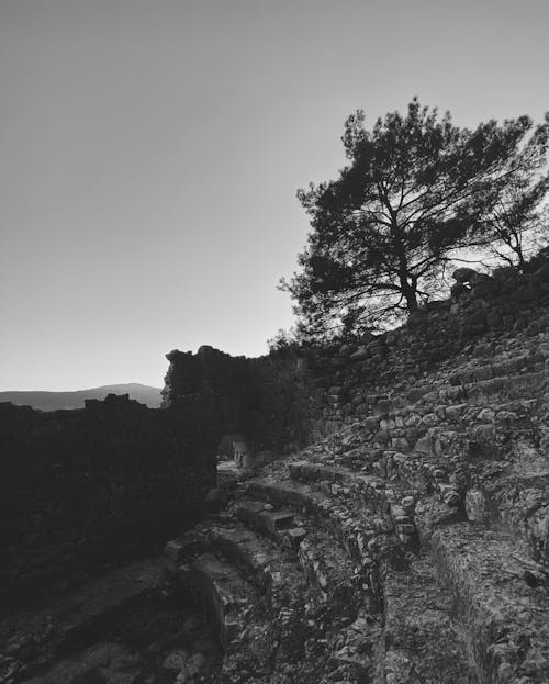Foto stok gratis berteras, bukit, hitam & putih