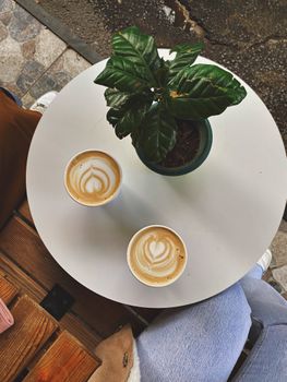 Two cups of latte art coffee with a potted plant on a round table in Istanbul.