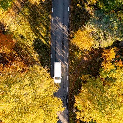 Základová fotografie zdarma na téma auto, barva, bílý vůz