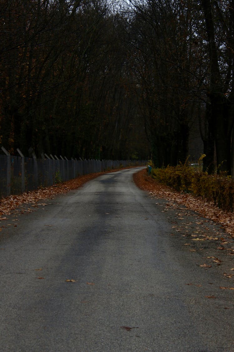 An Empty Concrete Road