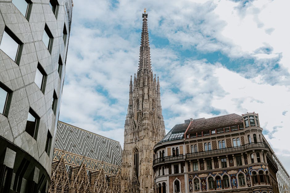 Cathédrale Saint-Étienne - Ascension de la tour sud