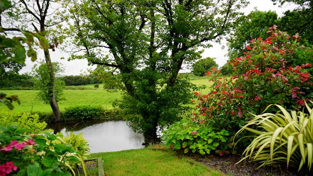 Free stock photo of landscape, nature, water, field