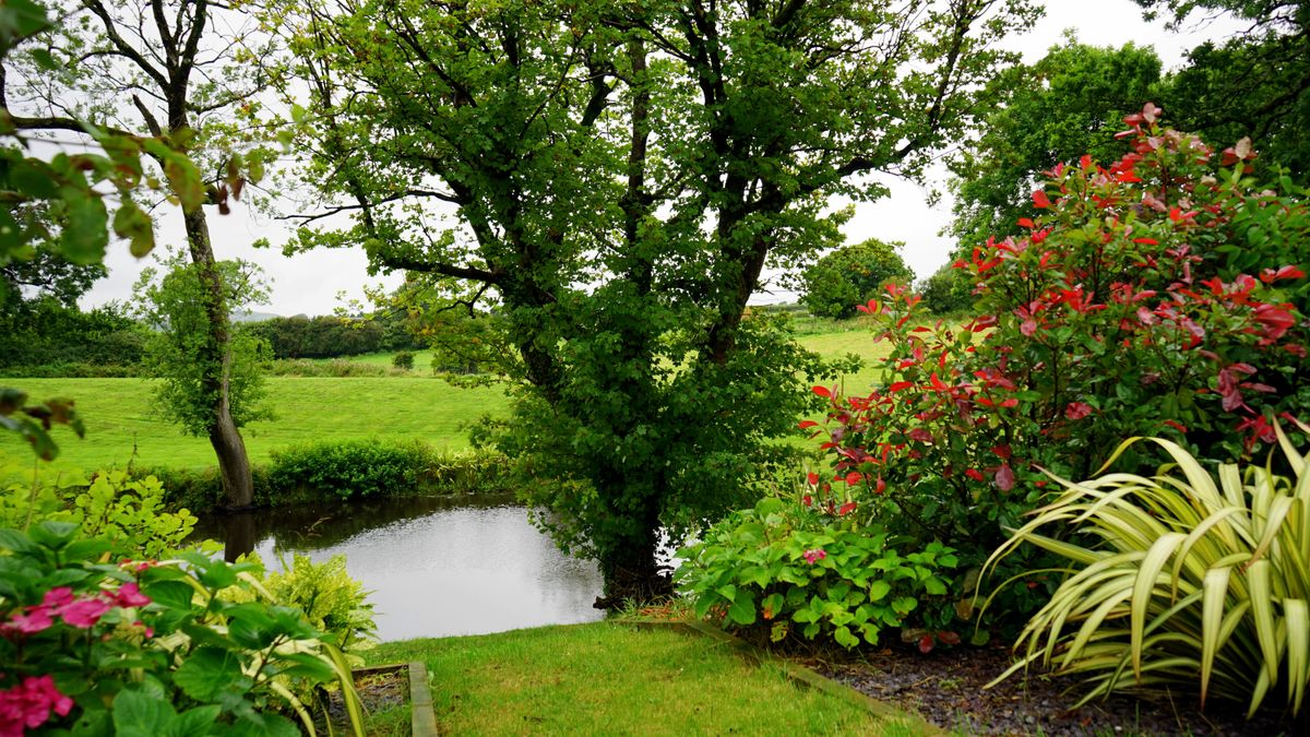 Garden bed and landscaped yard