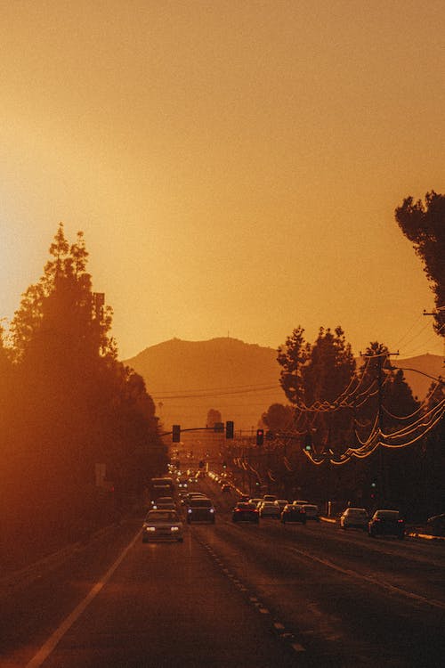 Základová fotografie zdarma na téma auta, silnice, slunce