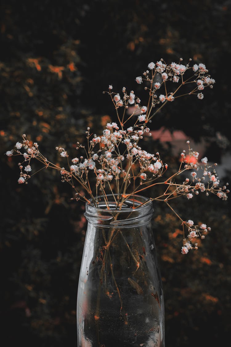 Flowers In A Jar