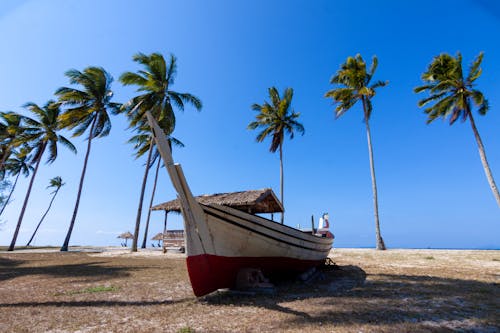 Boat on the Tropical Beach 