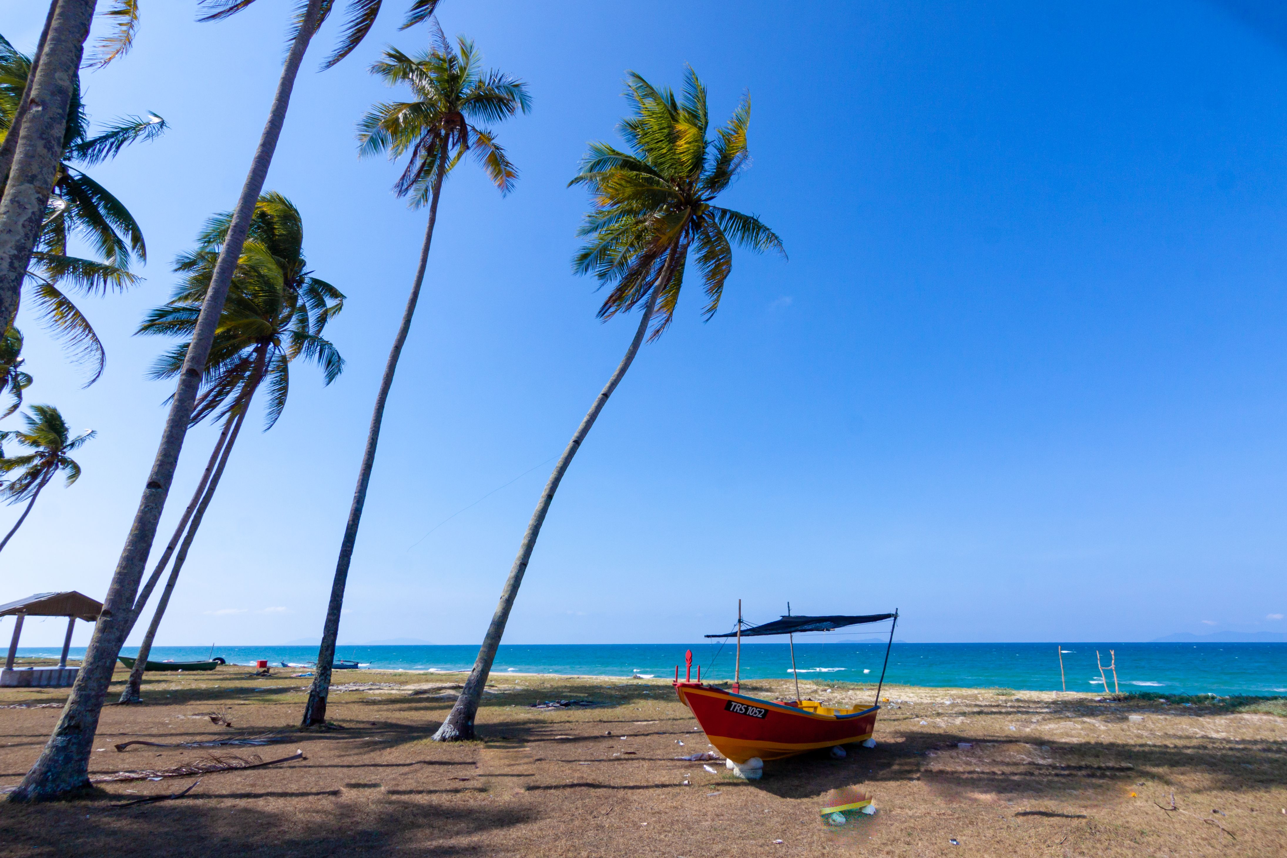 Scenic beach with swaying palm trees and a boat at the shoreline under a clear blue sky.